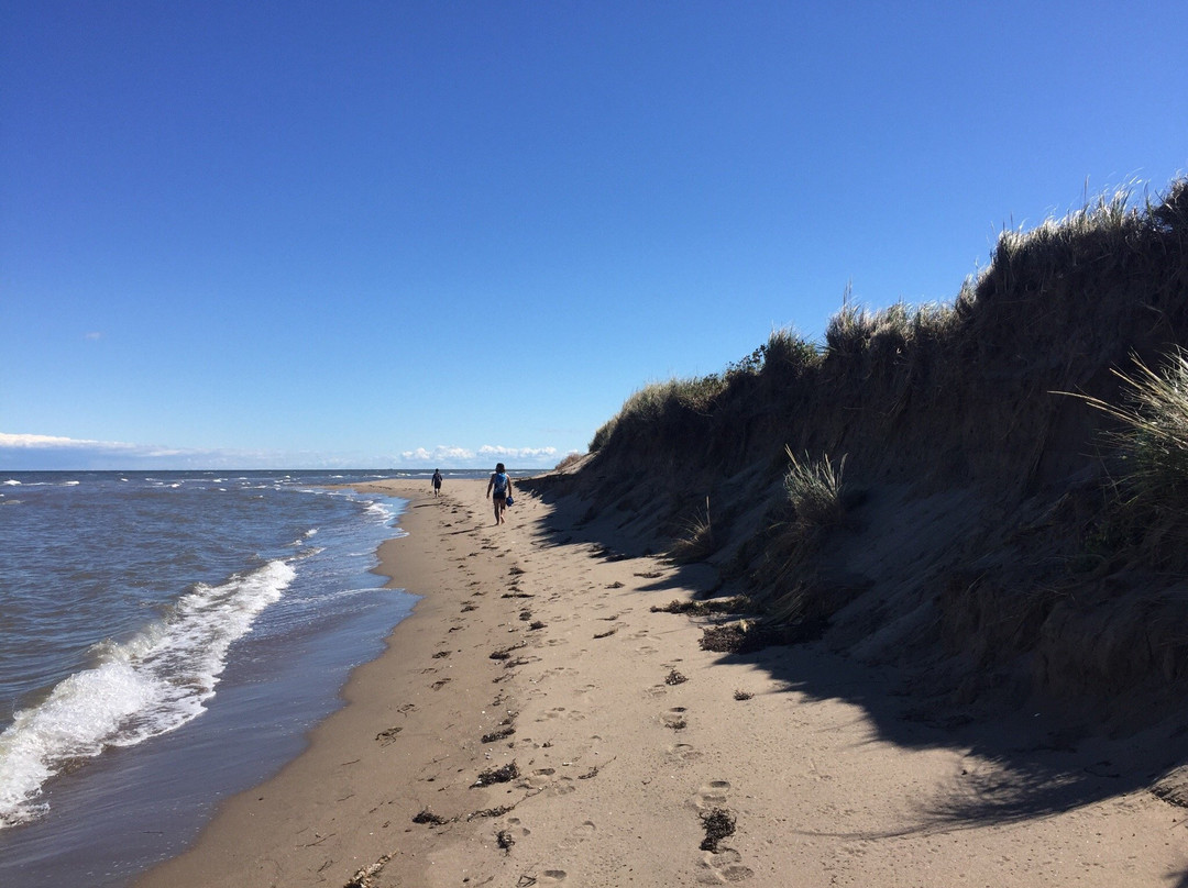 Bouctouche旅游攻略图片