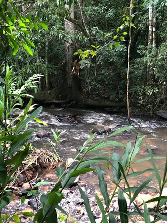 Hotel Fazenda Serra da Cachoeira主图