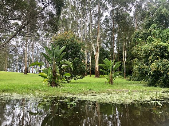 Mansfield on the Manning主图