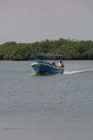 Los Manglares de Puerto Pizarro-Tumbes必去景点