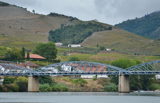 Anetours Transportation and Travel Solutions-马托西纽什必去景点