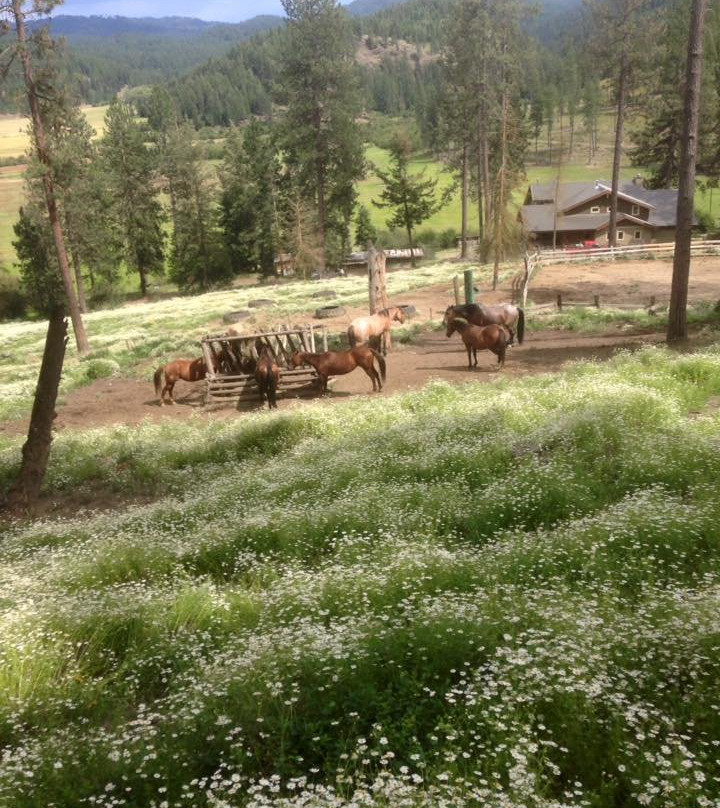 Rider Ranch-科达伦必去景点