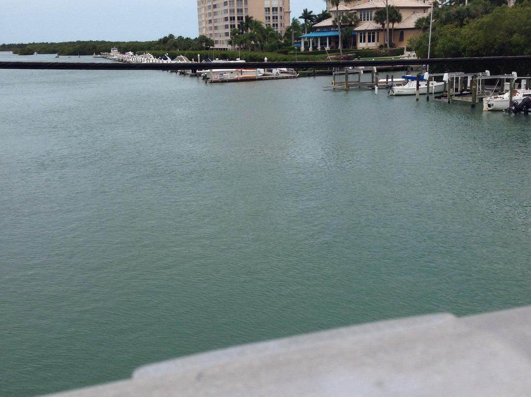 威金斯帕斯木屋旅馆主图