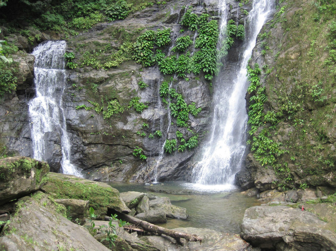 Tamaraw Waterfalls景点图片