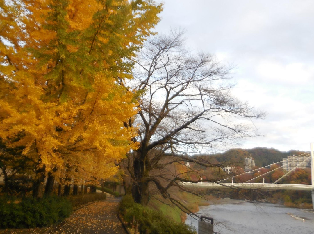 青梅市旅游景点-Kamanofuchi Park