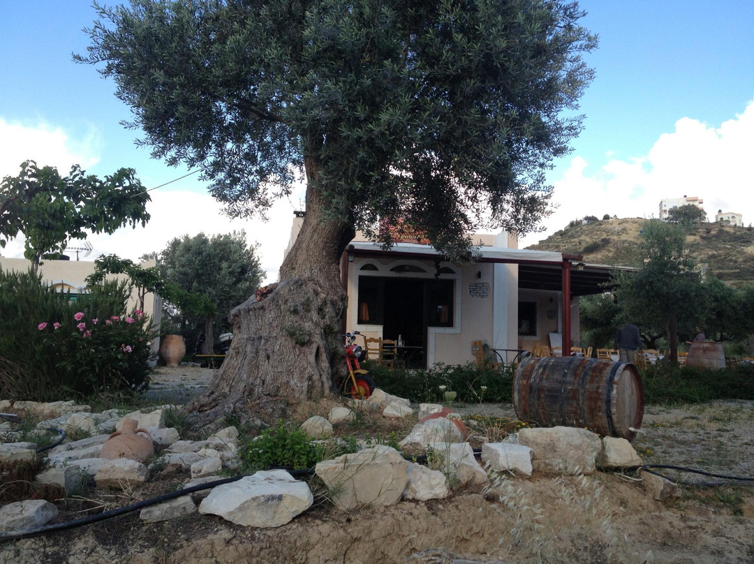 Restaurant Chrisopigi