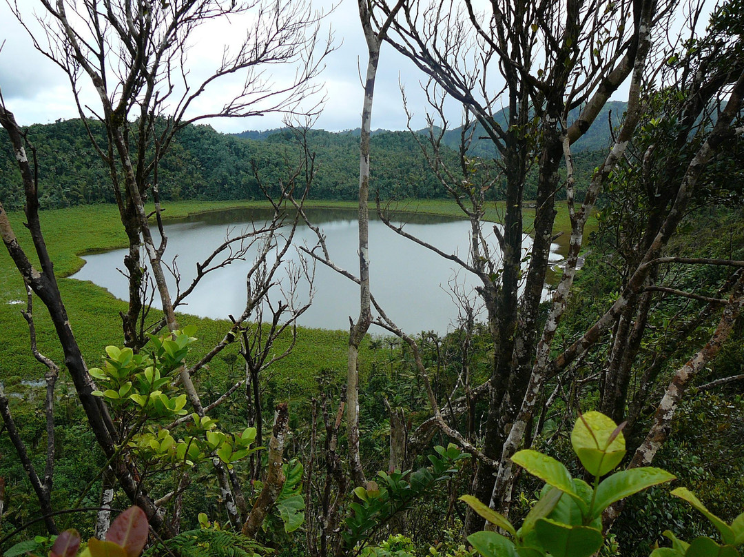 Grand Etang Lake-Grand Etang National Park必去景点