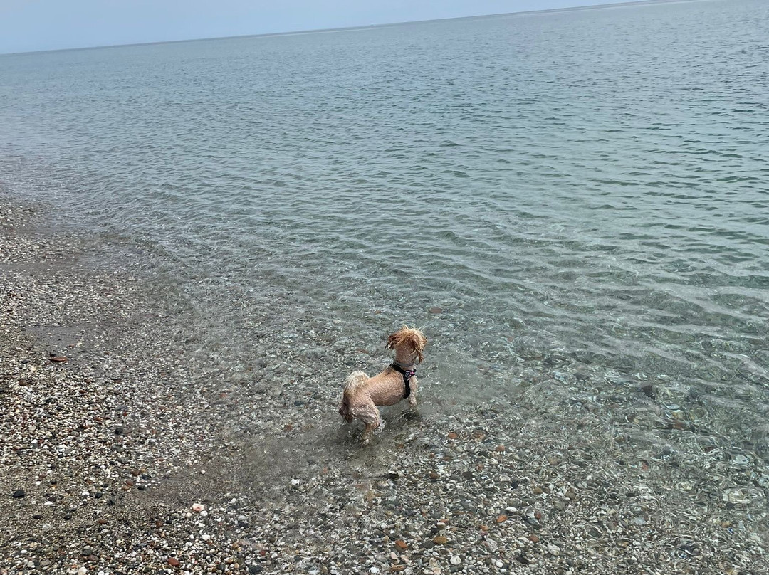 Spiaggia Planargia