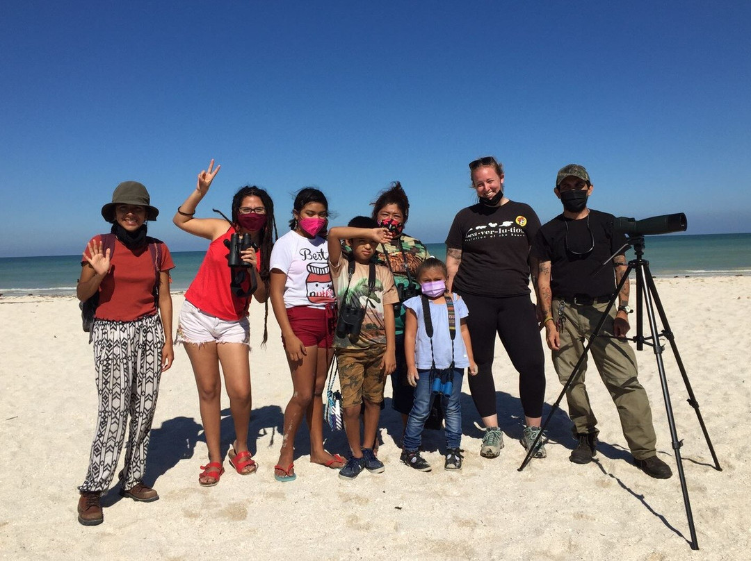 Colectivo Cardenales Premier Yucatán Birding Tours-梅里达必去景点