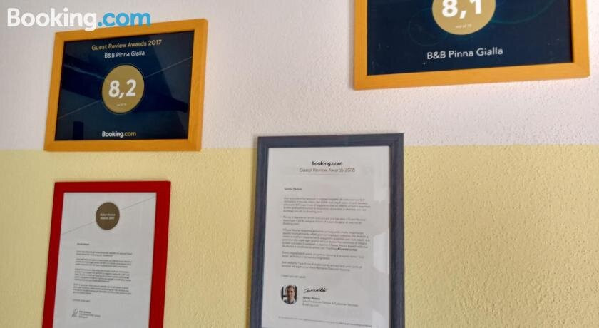 B&B Pinna Gialla