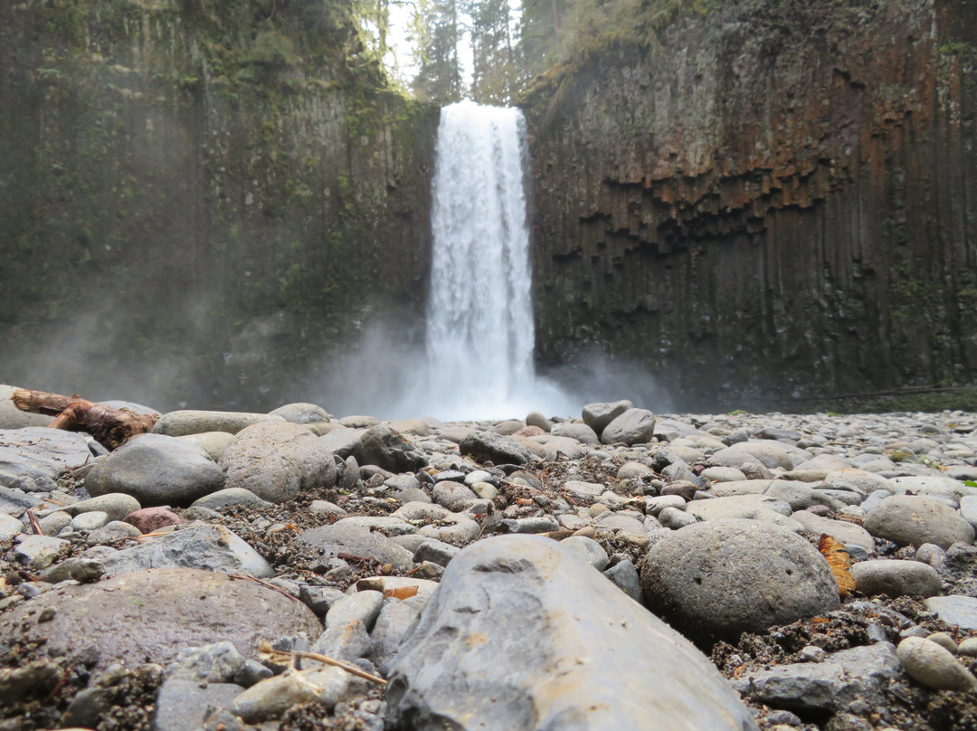 Abiqua Falls Trail