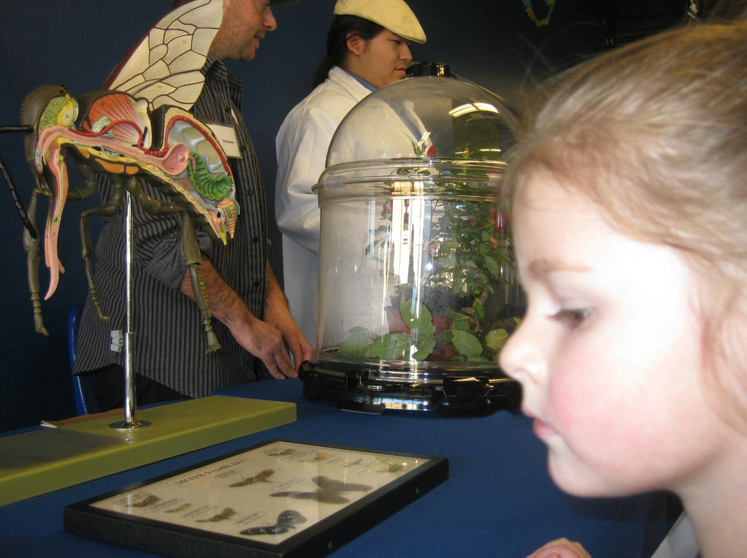 World of Wonders Science Museum