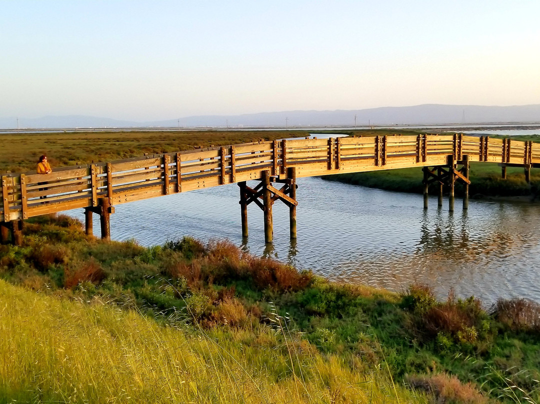 费利蒙旅游景点-Don Edwards San Francisco National Wildlife Refuge