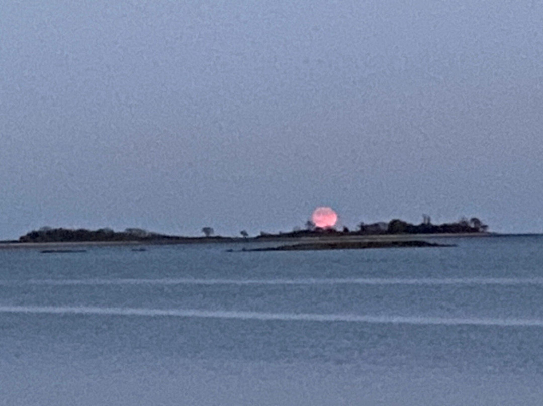 Calf Pasture Beach-诺沃克必去景点