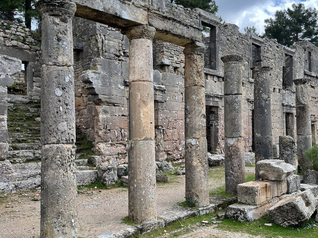 Seleukia (Lybre)景点图片
