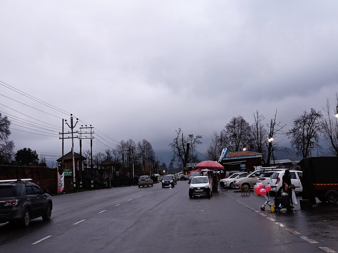 Kashmir Tourism Cab-斯利那加必去景点