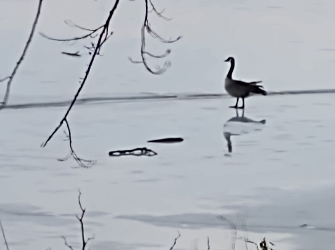 Onondaga Lake Park-Liverpool必去景点