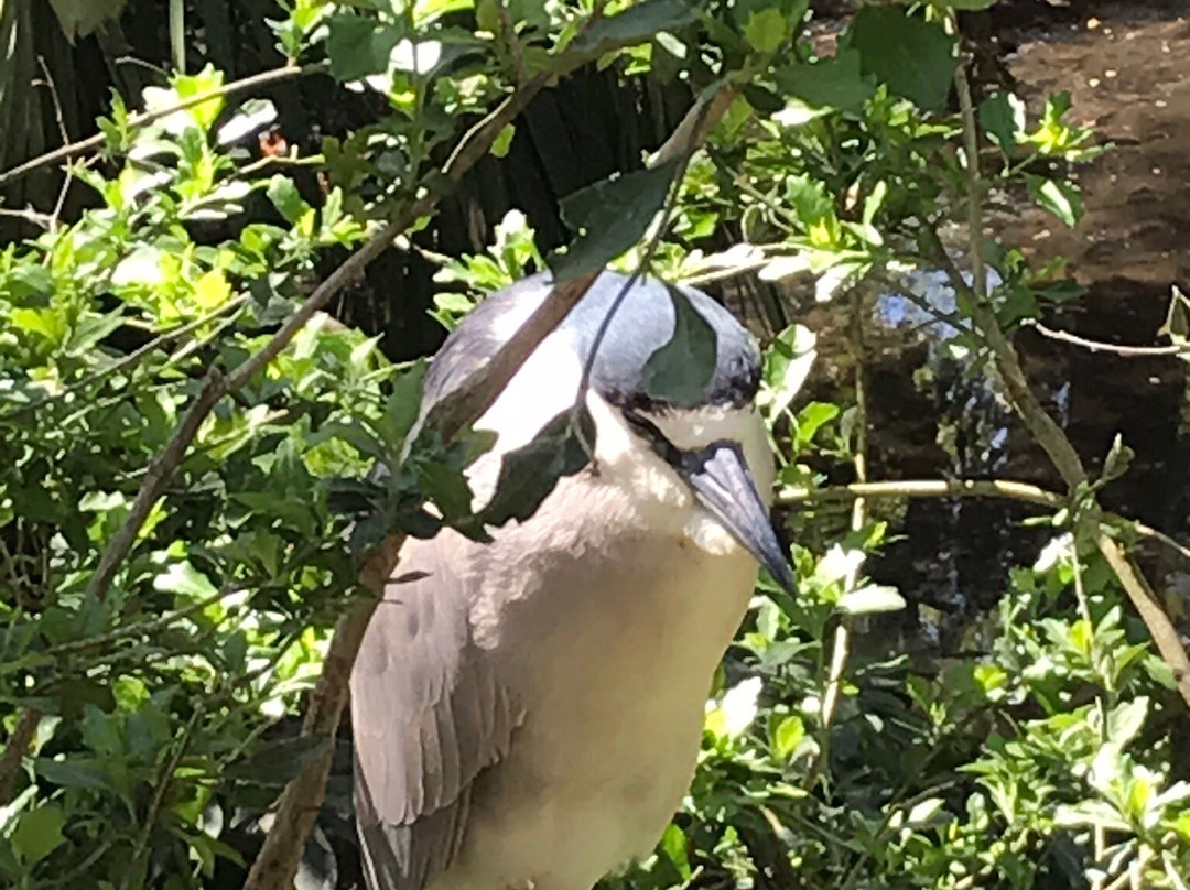 Silver Springs Kayaking LLC-Silver Springs必去景点