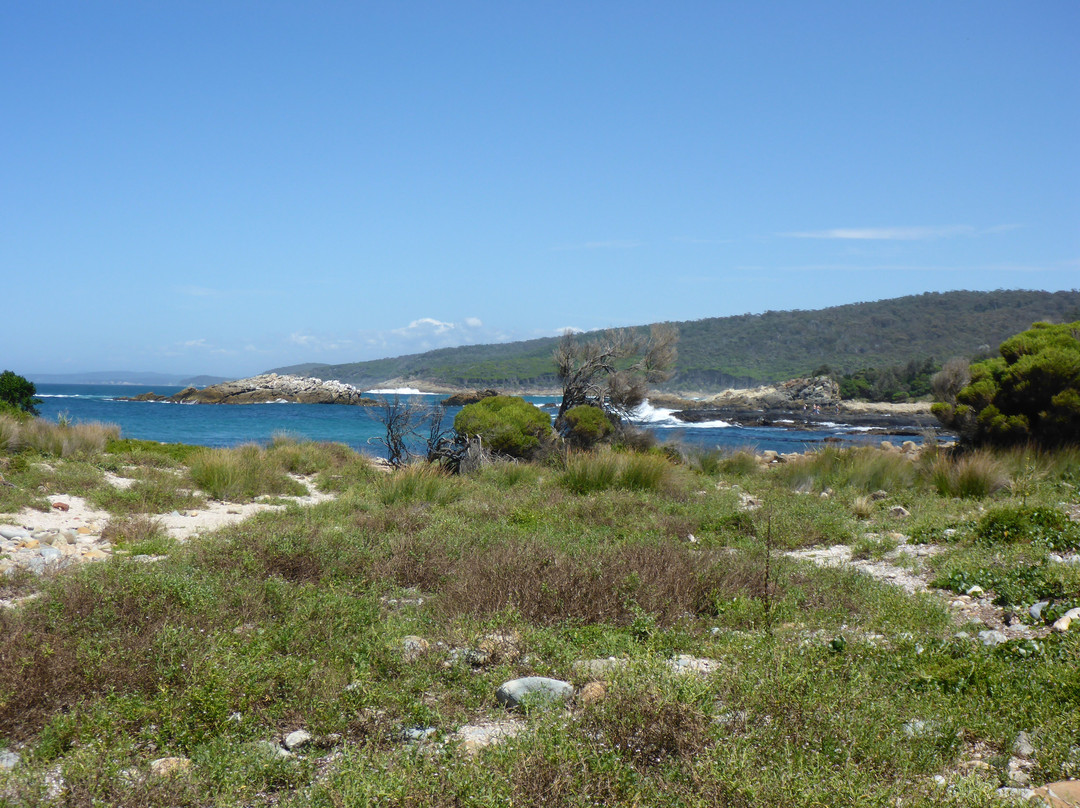 Mimosa Rocks National Park-Tanja必去景点