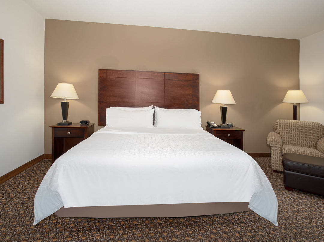 兰德快捷假日&套房酒店主图