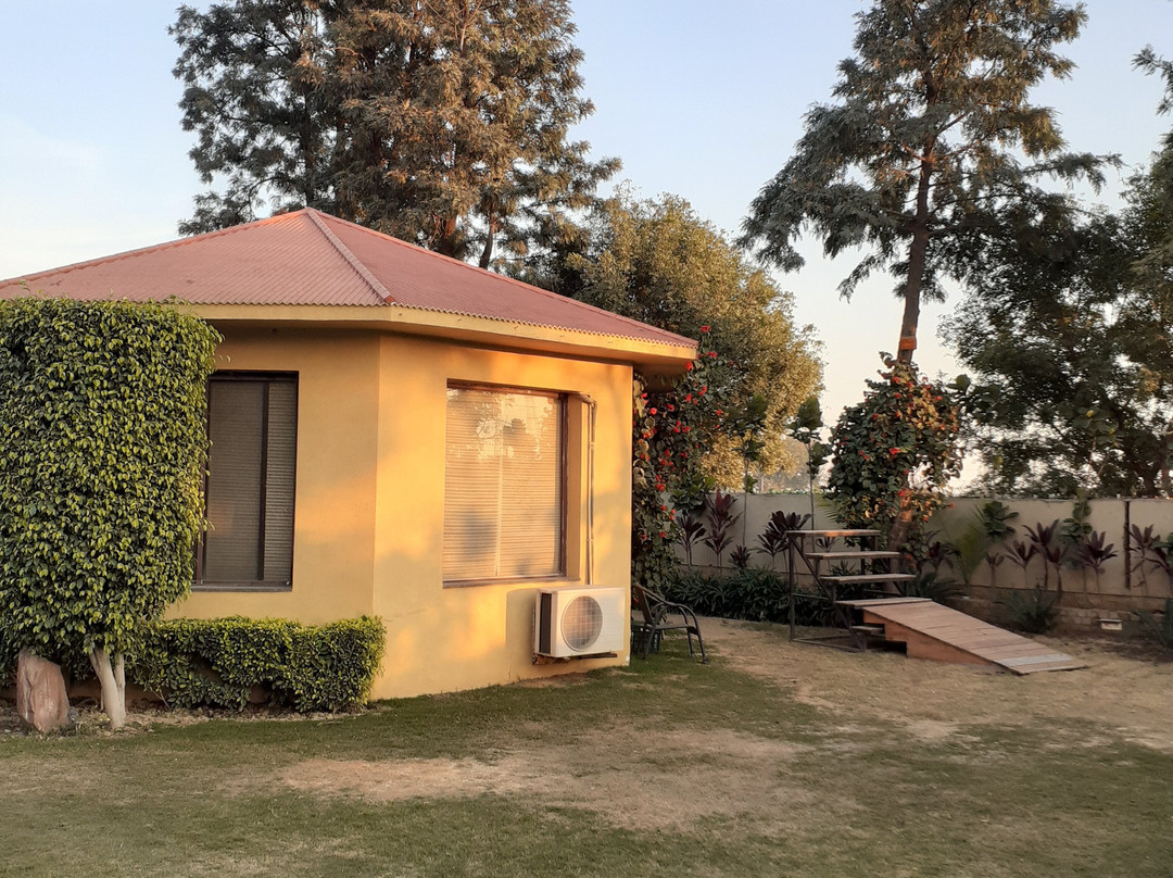 Downtown Resorts主图