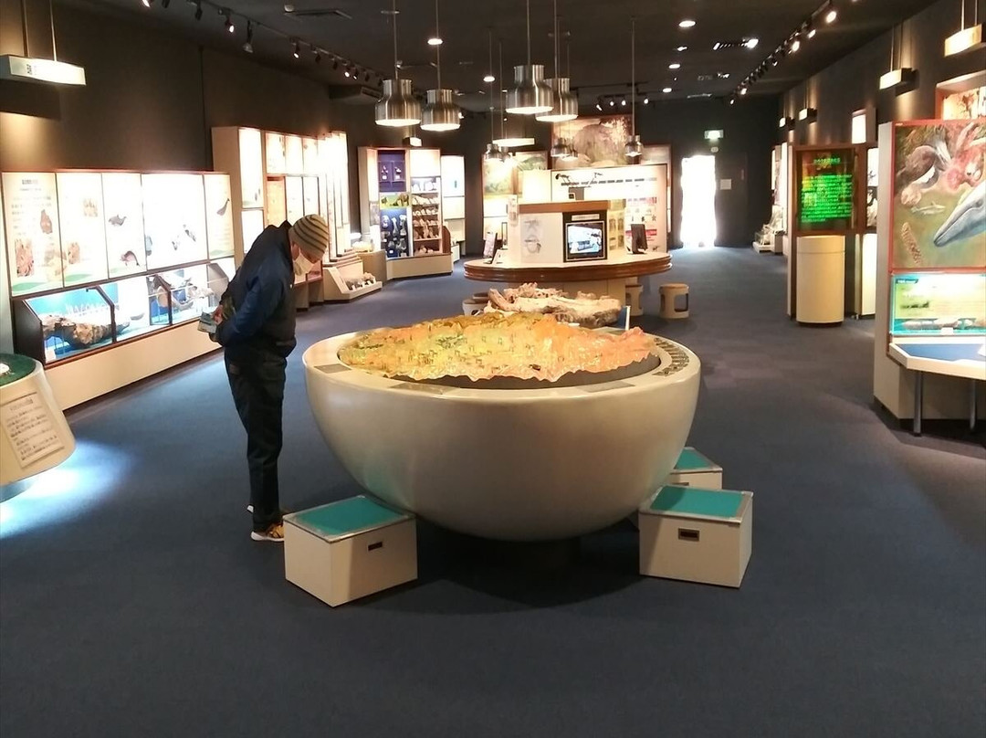 Mizunami Fossil Museum-瑞浪市必去景点