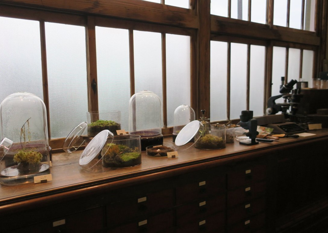 Hattori Botanical Laboratory景点图片