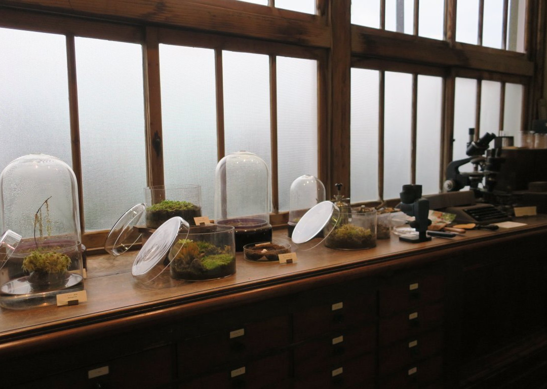 Hattori Botanical Laboratory-日南市必去景点