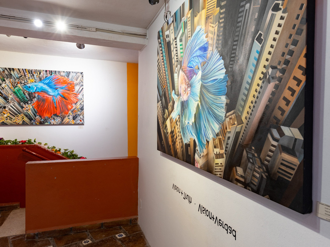 Art Vallarta-瓦拉塔港必去景点