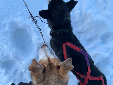 White Trail Adventures-基律纳必去景点