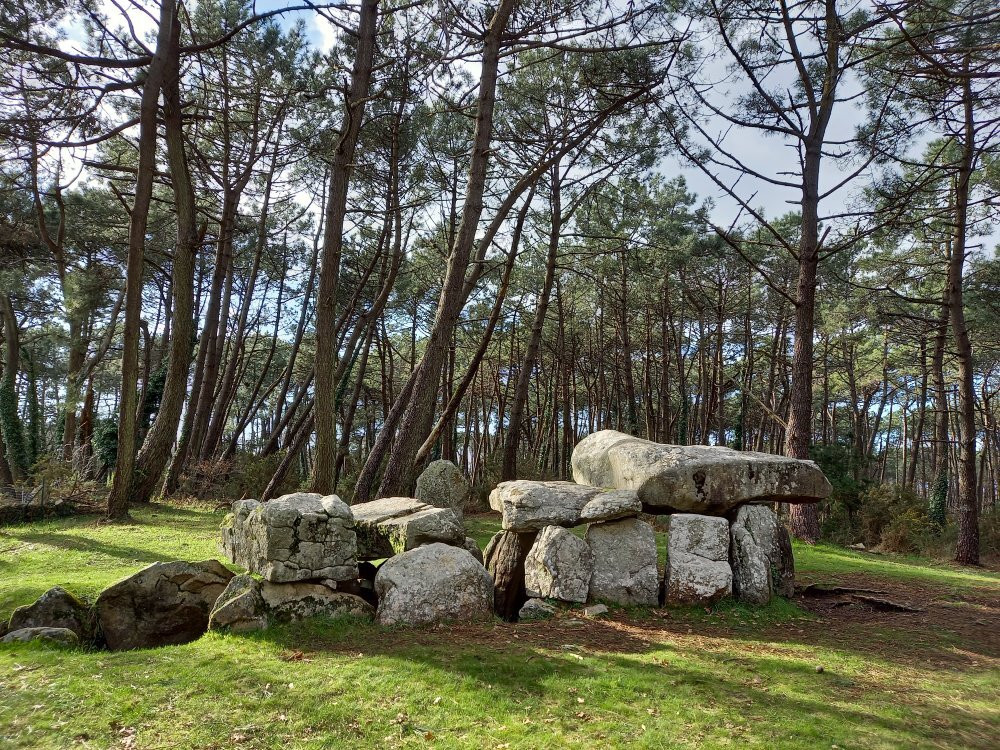 Dolmens de Mané Kerioned景点图片