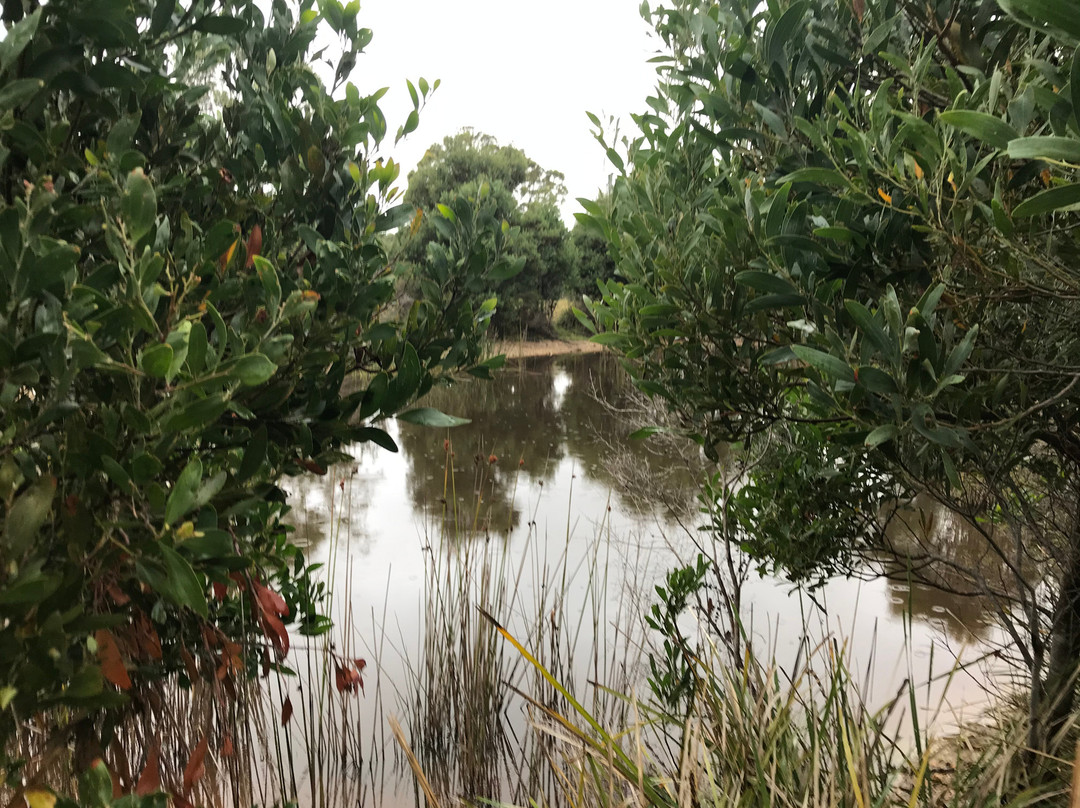 York Town Historic Site-Beauty Point必去景点