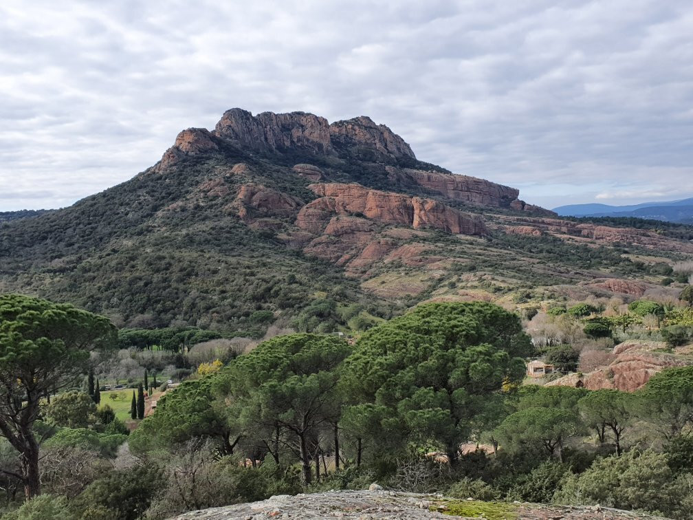 Rocher de Roquebrune景点图片