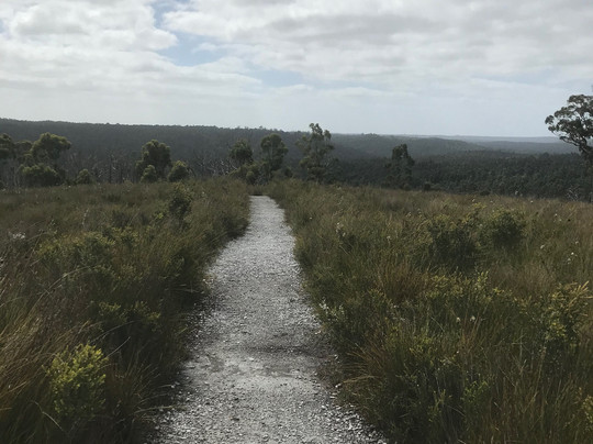 Dempster Plains Lookout-Smithton必去景点