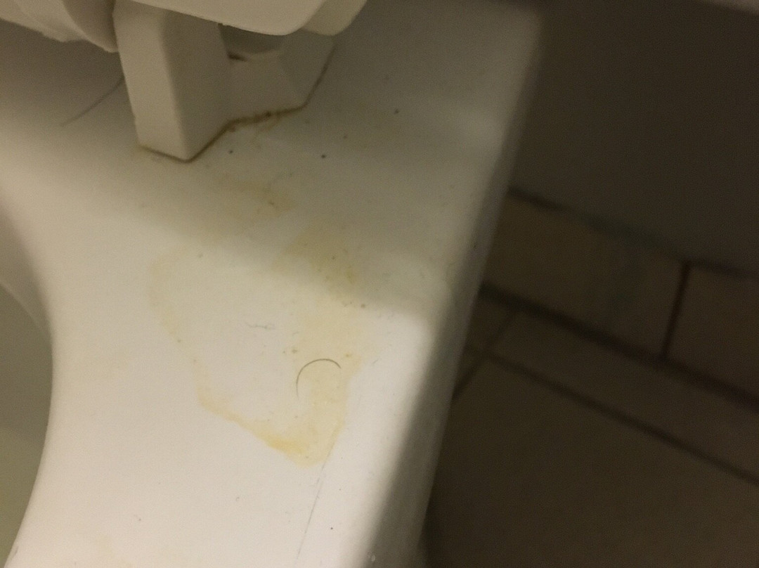 Days Inn & Suites by Wyndham Needles主图