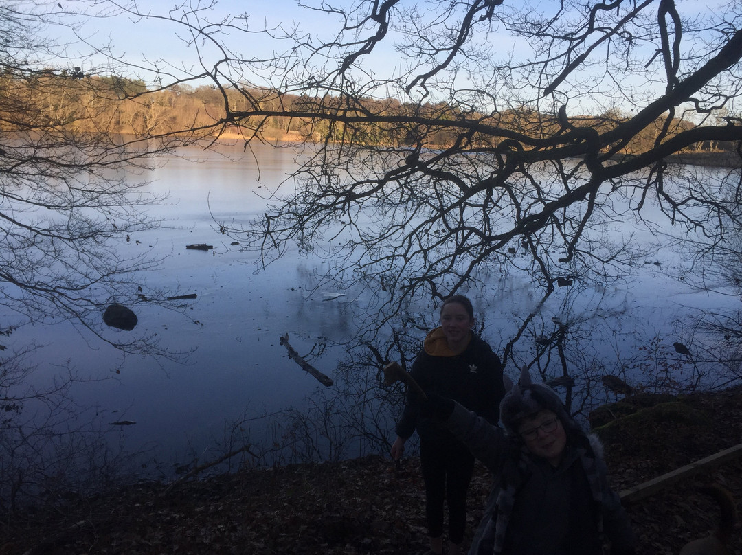 Balgavies Loch-Forfar必去景点