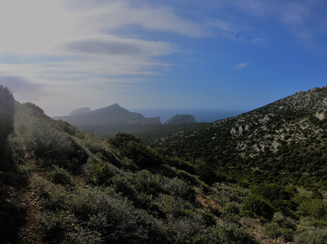 TrekZone di Pietro Fiori-阿尔盖罗必去景点