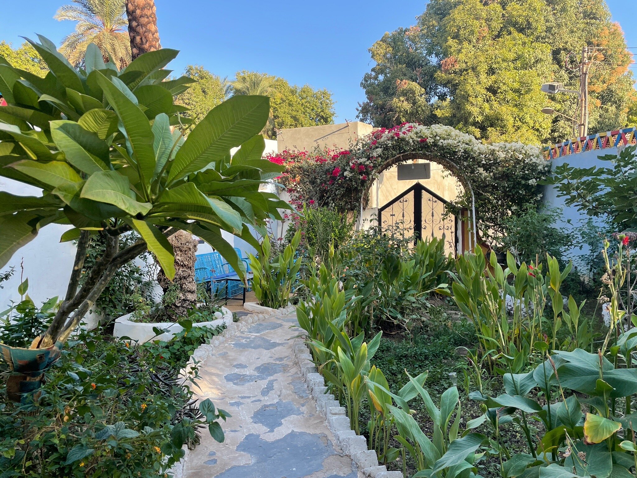 The Mango Guesthouse-官方