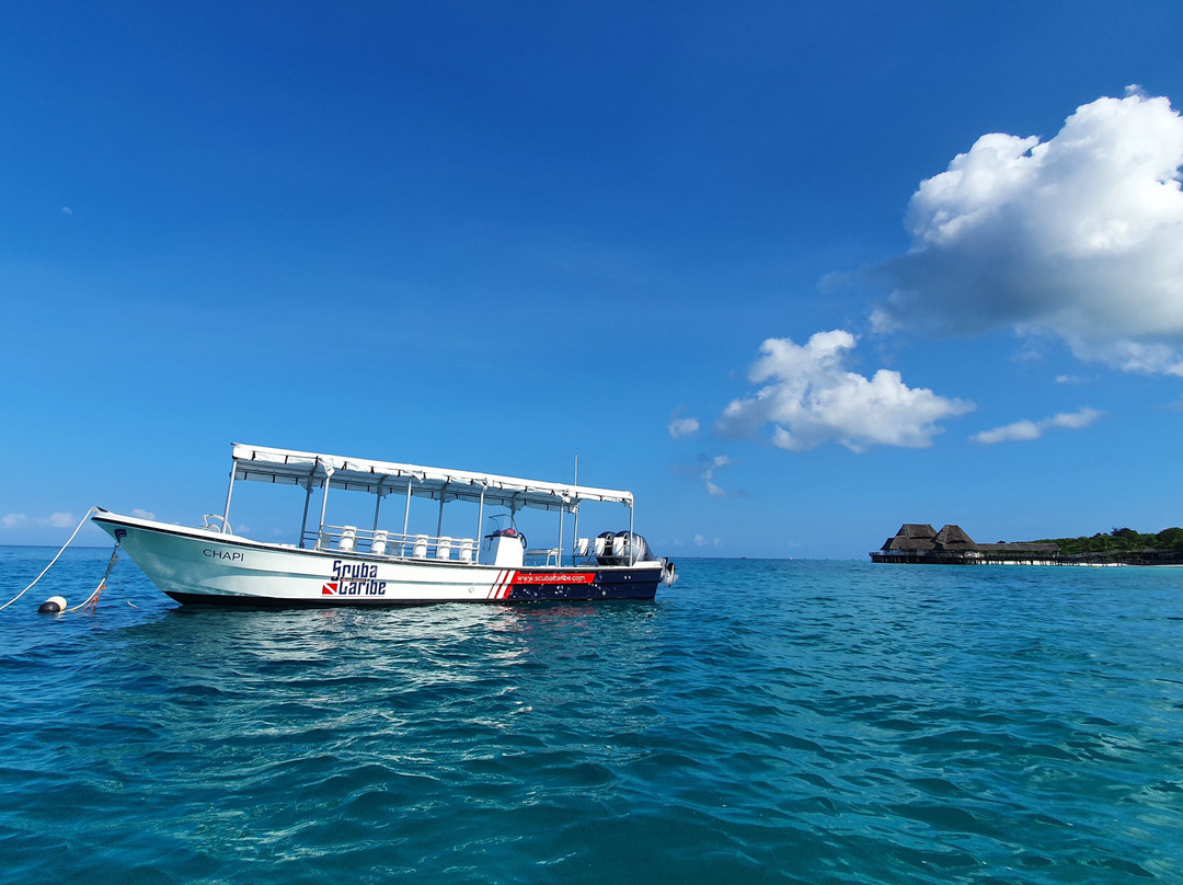 ScubaCaribe, Zanzibar-孥归必去景点