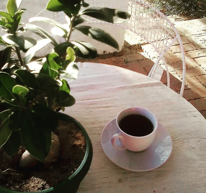 Oudekloof Wine Estate & Guest House主图