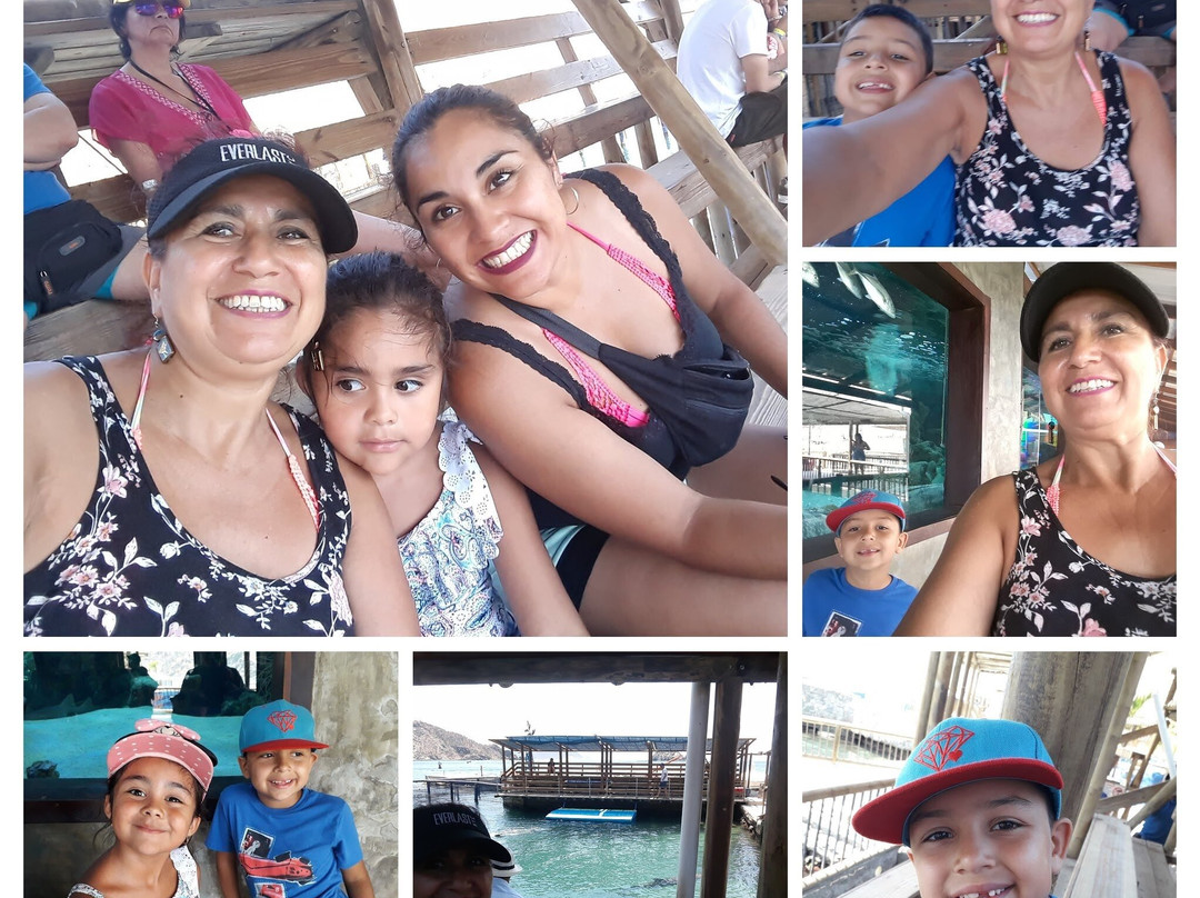 Rodadero Sea Aquarium and Museum-圣玛尔塔必去景点