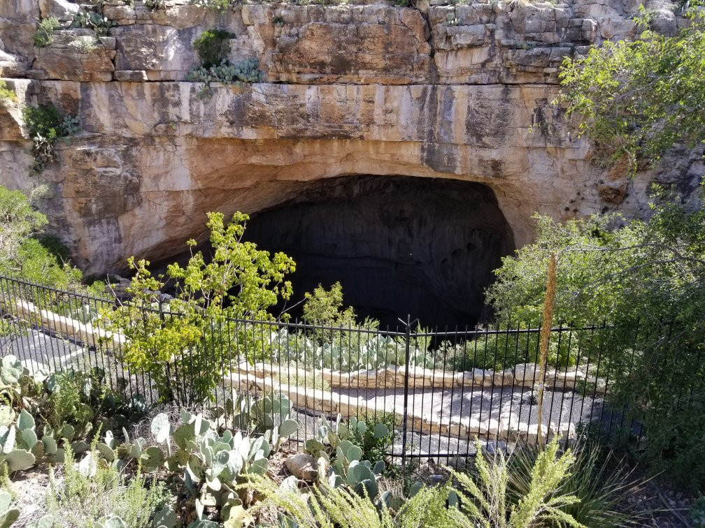 2024年5月Bat Flight Program in Carlsbad Caverns National Park景点攻略Bat