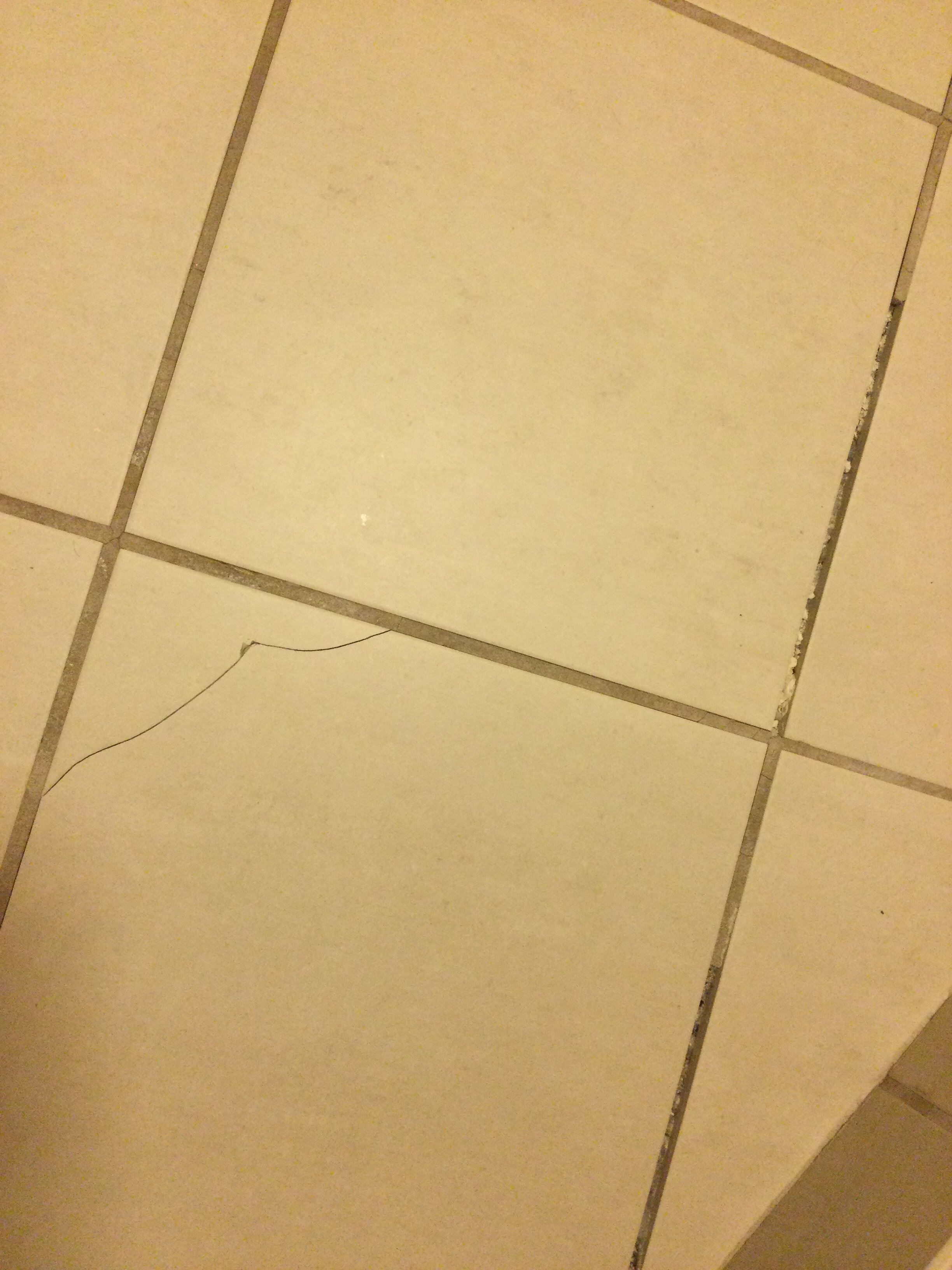 SpringHill Suites by Marriott Boulder Longmont-浴室