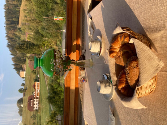 Boutique Hotel and Apartments Pension Sternen主图