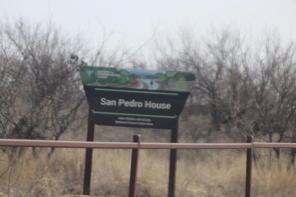 San Pedro Riparian National Conservation Area景点图片