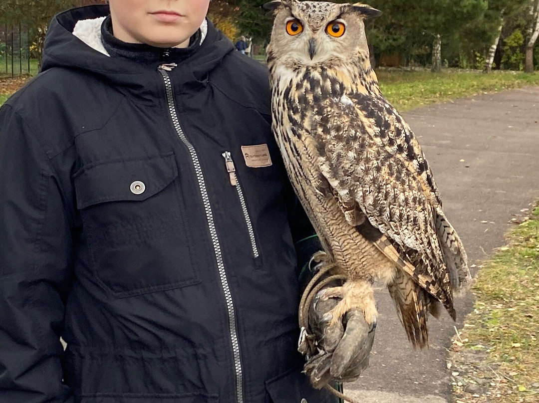 Bird Park Vorobyi-Vorobi必去景点