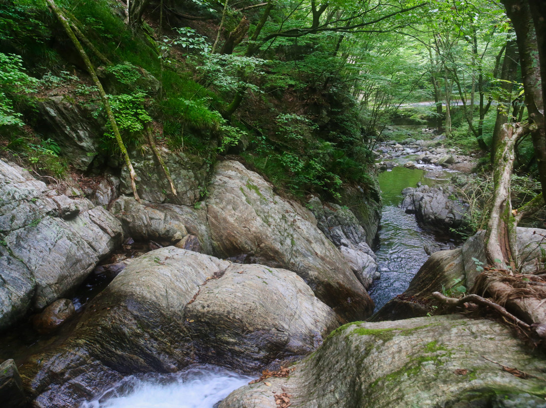 Yoshiro's Waterfall景点图片