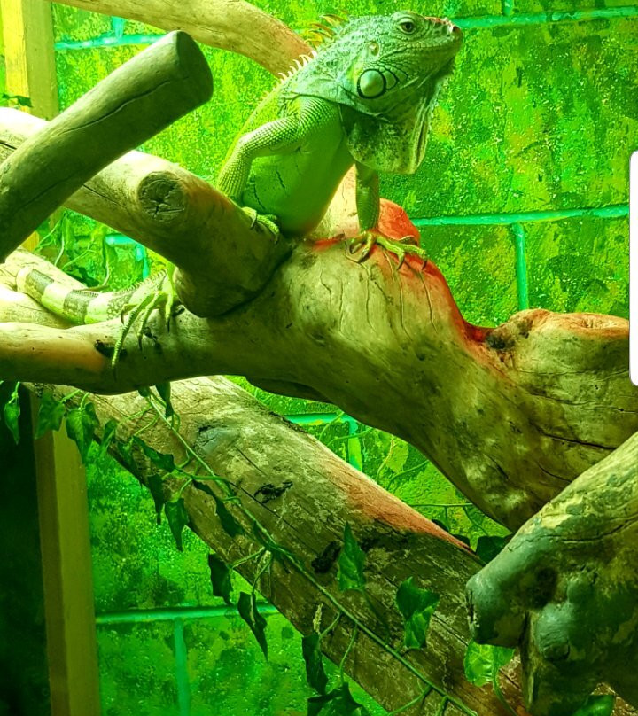 Rodbaston Animal Zone景点图片
