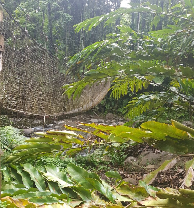 Foret Coeur Bouliki-Saint-Joseph必去景点