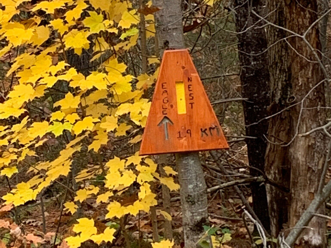 McCrae Lake Conservation Trail-Muskoka District必去景点